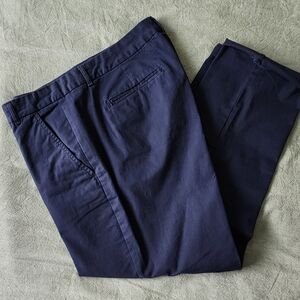 Banana Republic Women's Navy Cropped Pants